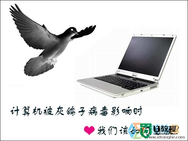 w7电脑如何清理灰鸽子病毒|w7清理灰鸽子病毒的方法