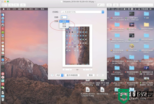 苹果电脑如何打印图片_mac上的图片怎么打印