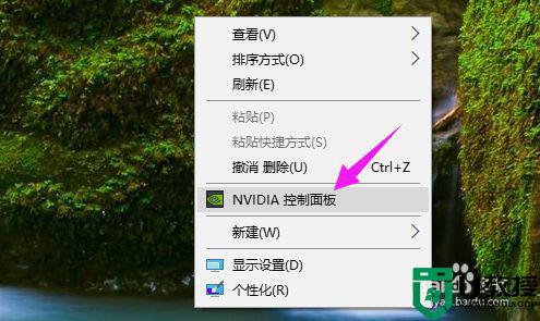 w10 nvidia控制面板打不开如何解决_win10无法打开nvidia控制面板的处理方法