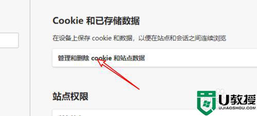 w10电脑浏览器支持并允许了cookie设置如何操作