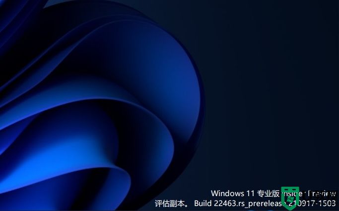 windows11 build 22463.1000开发版iso镜像下载
