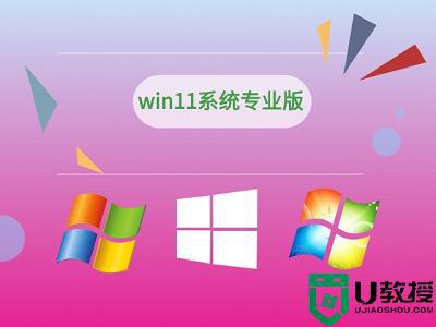 win11专业版和win11家庭版区别有哪些_windows11家庭版和专业版区别详解