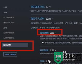 steam怎么隐藏自己在玩什么_steam怎样隐藏自己在玩游戏