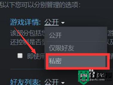 steam怎么隐藏自己在玩什么_steam怎样隐藏自己在玩游戏