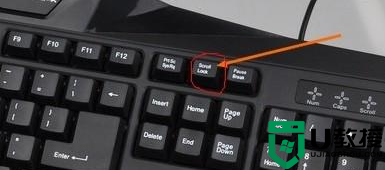电脑键盘上下左右键怎么解锁 电脑如何解锁键盘上下左右键