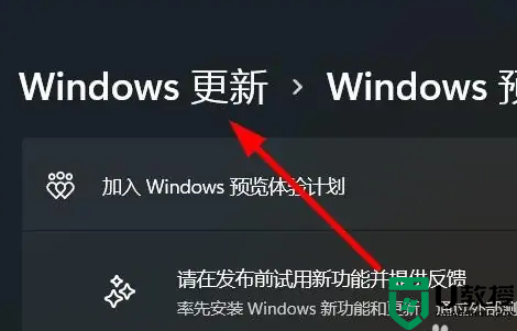 windows11 预览体验计划怎么加入_如何加入win11预览体验计划