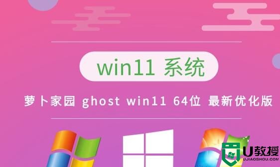 萝卜家园 ghost win11 64位 最新优化版 v2023