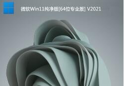 Win11专业纯净版下载|Win11纯净版64位专业版(永久激活)V2023
