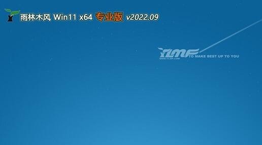 雨林木风Ghost win11 64位 完美专业版 v2022.09