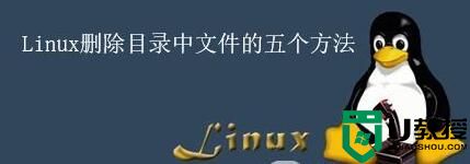 linux如何删除文件？linux删除文件夹的五个方法