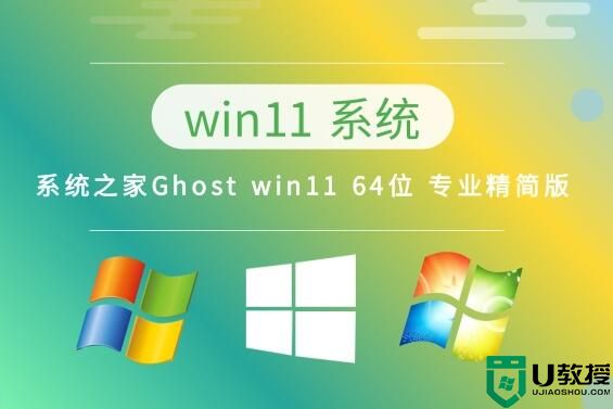 系统之家 Ghost win11 64位 专业精简版 v2023.03