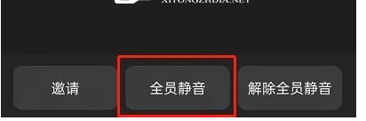 钉钉会议怎么静音？钉钉会议怎么静音别人的麦克风操作方法分享