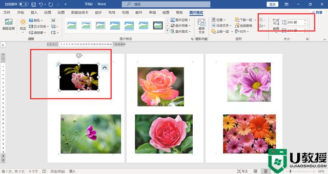 如何一次性调节word所有图片大小
