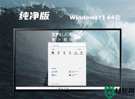 萝卜家园ghost win11纯净安装版系统下载 windows11中文精简版系统镜像文件下载
