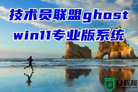 技术员联盟ghost win11专业版系统下载 windows11免费中文版镜像文件下载