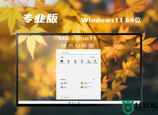 技术员联盟ghost win11专业版系统下载 windows11免费中文版镜像文件下载