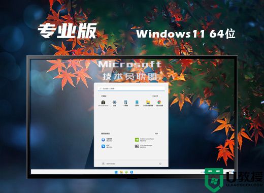 技术员联盟ghost win11专业版系统下载 windows11免费中文版镜像文件下载