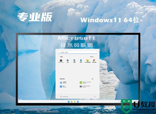 技术员联盟ghost win11专业版系统下载 windows11免费中文版镜像文件下载