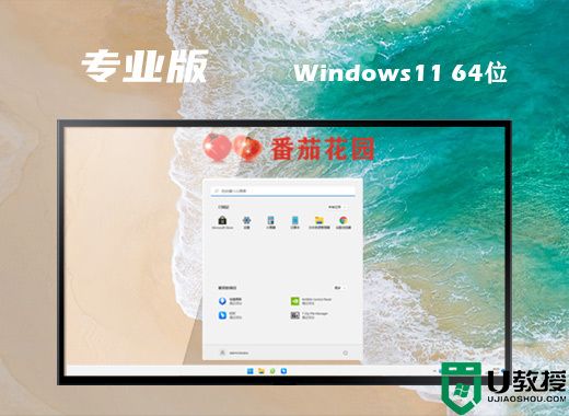 番茄花园ghost win11最新专业版系统下载 64位windows11中文版镜像文件下载