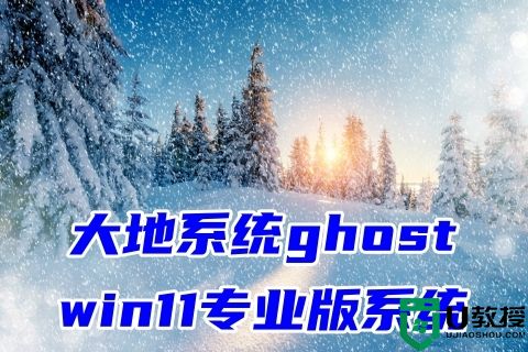 大地系统ghost win11专业版系统下载 windows11系统64位镜像文件下载