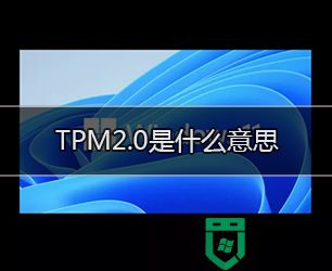 TPM2.0是什么意思?各主板如何开启TPM2.0(附品牌机开启tpm2.0方法)