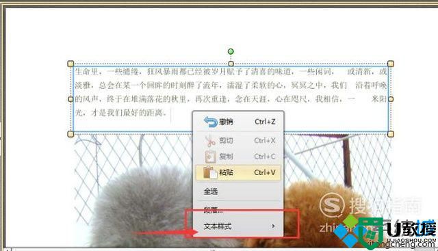 windowsxp系统下怎样更改PDF文档中的文字