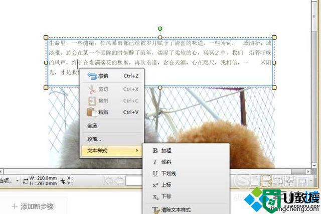 windowsxp系统下怎样更改PDF文档中的文字
