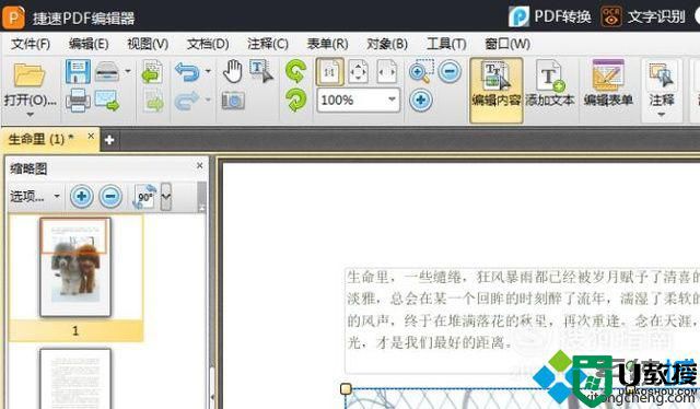 windowsxp系统下怎样更改PDF文档中的文字