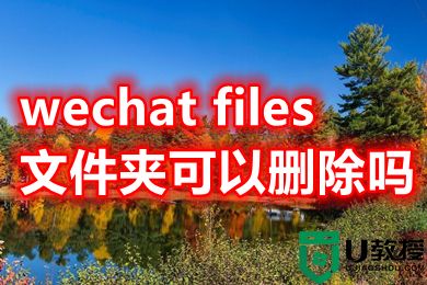 wechat files文件夹可以删除吗 c盘中的wechat哪些可以删除
