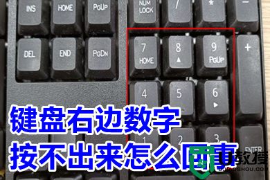 键盘右边数字按不出来怎么回事 键盘右边数字打不出来怎么解锁