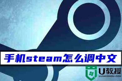 手机steam怎么调中文 手机steam设置中文的方法教程