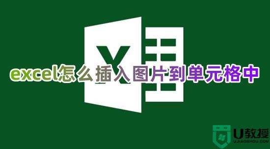 excel怎么插入图片到单元格中 图片如何嵌入到excel表格里面去