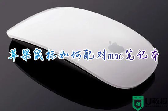 苹果鼠标如何配对mac笔记本 苹果鼠标怎么连接苹果笔记本电脑