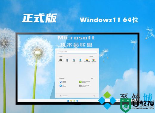 技术员联盟win11 64位系统下载 windows11官方最新版系统下载