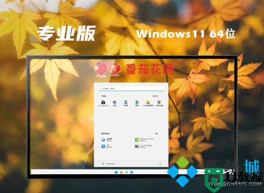 番茄花园win11系统64位下载 windows11原版系统下载