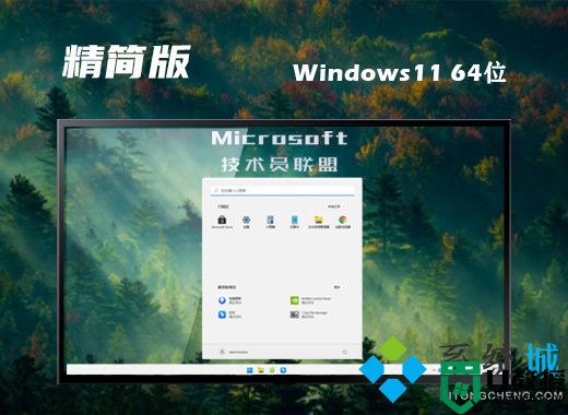 技术员联盟win11精简版系统下载 64位win11免费正式版系统下载