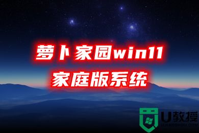 萝卜家园win11家庭版系统下载 win11精简中文版系统下载