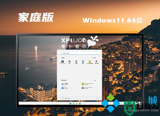 萝卜家园win11家庭版系统下载 win11精简中文版系统下载