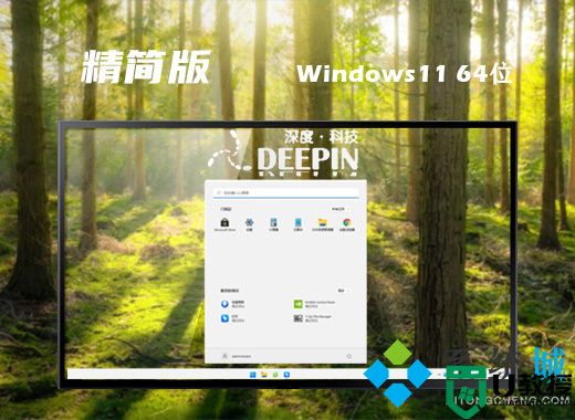 深度技术win11免费精简版系统下载 64位win11系统免激活下载