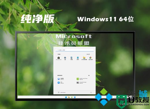 技术员联盟win11简约纯净版系统下载 win11官方64位镜像文件下载