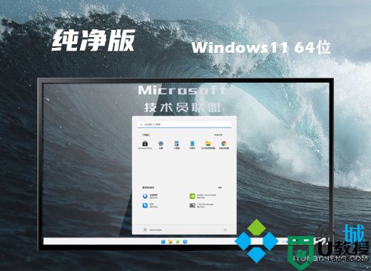 技术员联盟win11简约纯净版系统下载 win11官方64位镜像文件下载