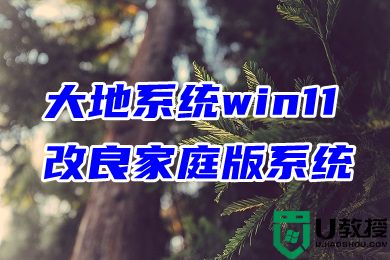 大地系统win11改良家庭版系统下载 win11稳定最新版系统下载