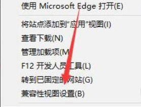 Win11兼容性视图设置在哪 Win11兼容性视图设置方法 系统之家