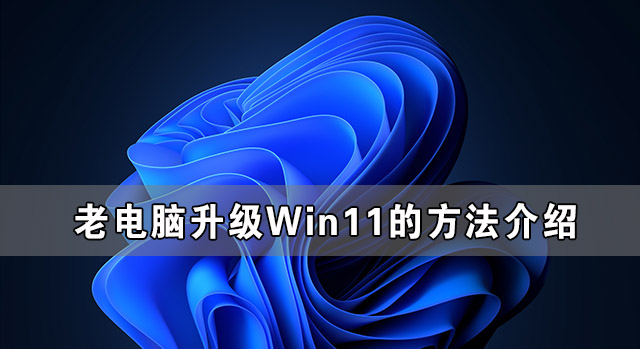 Win11的快捷键有哪些？Win11快捷键大全